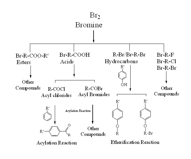 Custom Synthesis