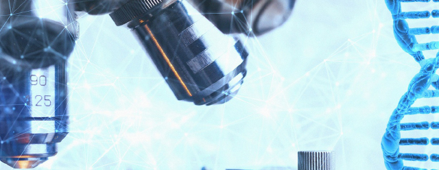Custom Synthesis